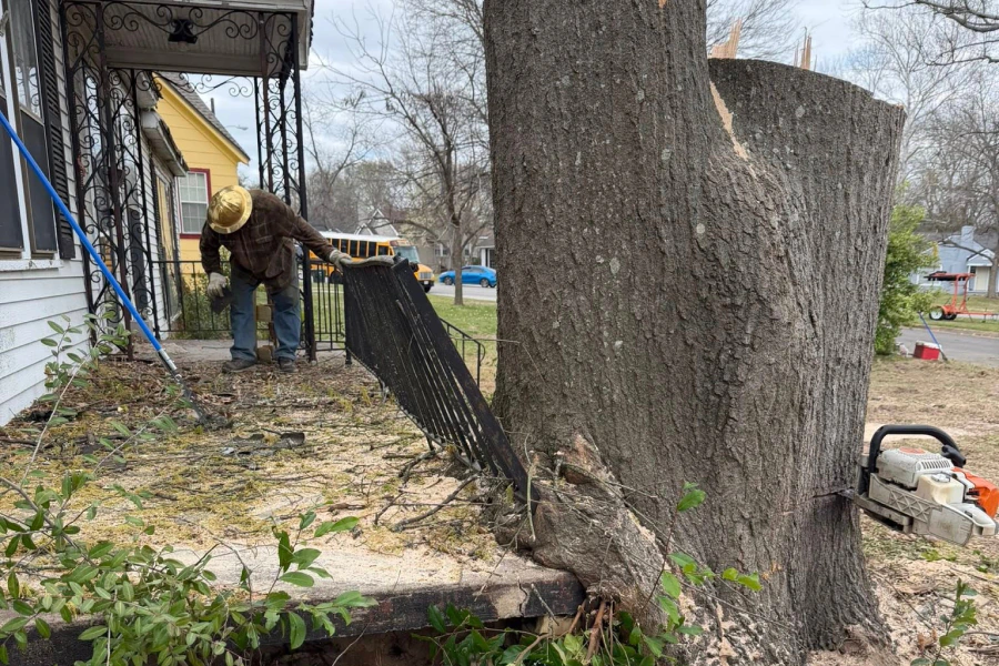 emergency tree removal emergency tree removal