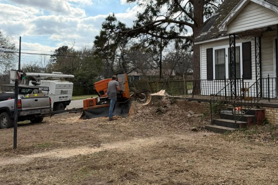 stump grinding